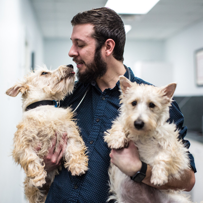 Veterinarian with two dogs